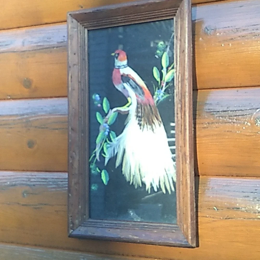 Vintage PEACOCK Framed ART Bird Distressed Wood FRAME 🖼️ 19